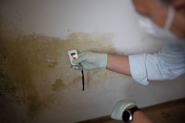 Water Damage Restoration in Wyldwood, TX
