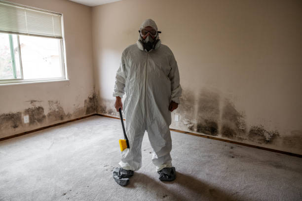 Certified Mold Removal in Wyldwood, TX